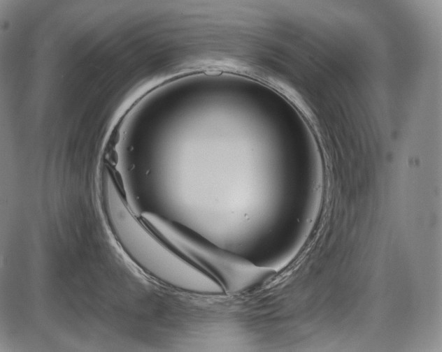 X0000086291056200703301131