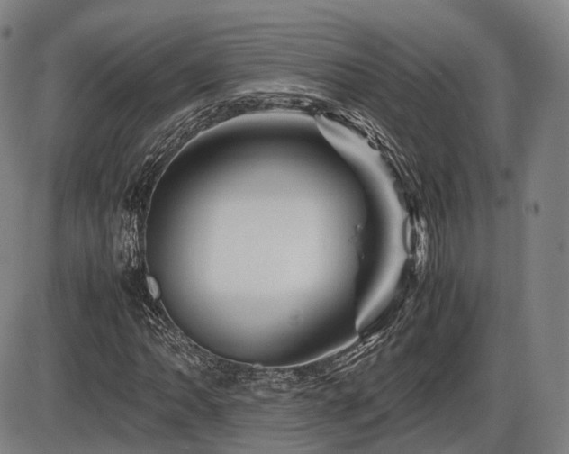 X0000086291062200703301130