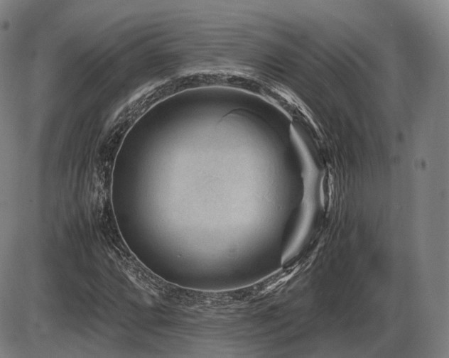 X0000086291064200703301130