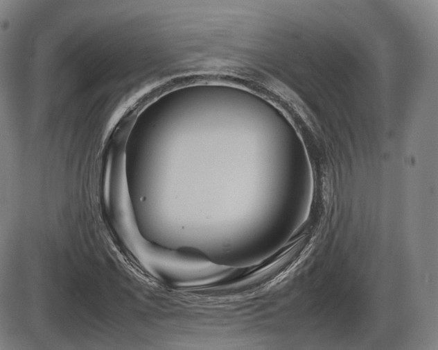 X0000086291069200703301130