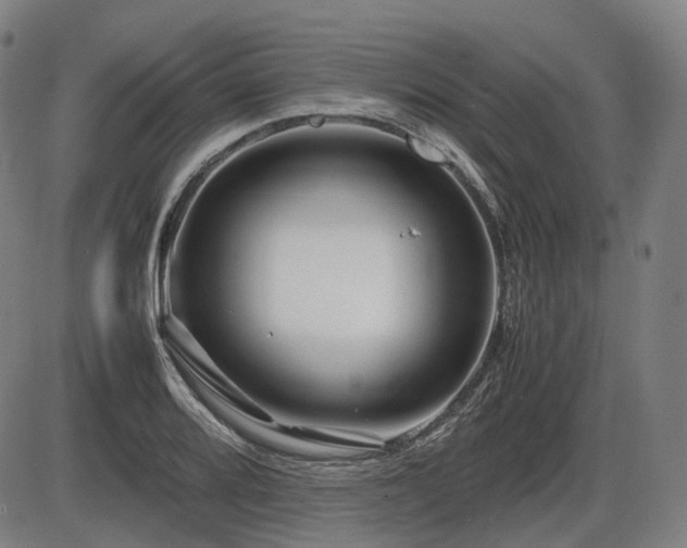 X0000086291080200703301130
