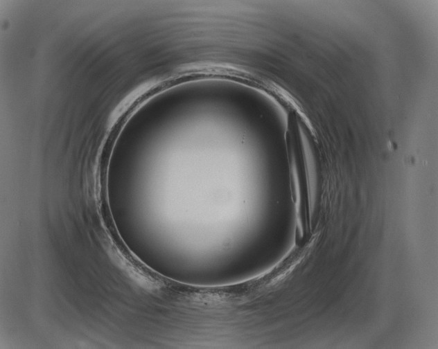 X0000086291082200703301130