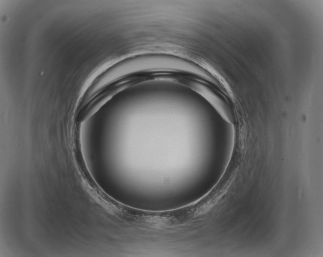 X0000086291085200703301130