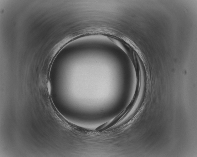 X0000086291089200703301129