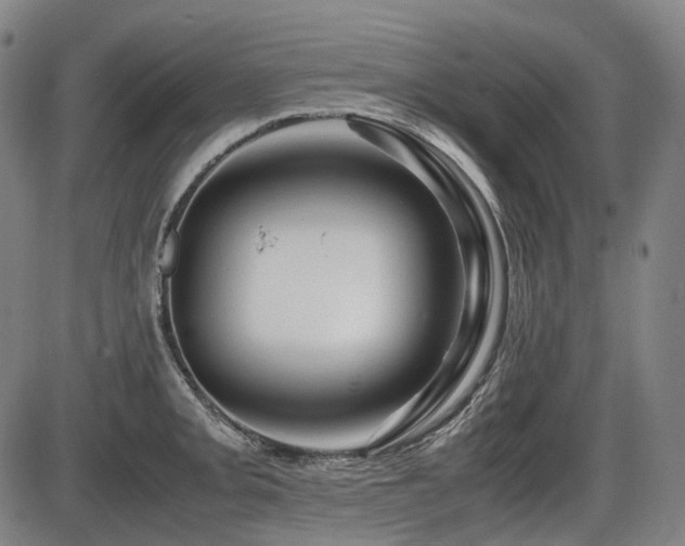 X0000086291093200703301129