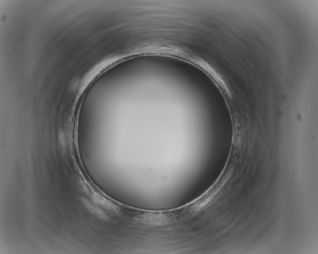 X0000086291094200703301129