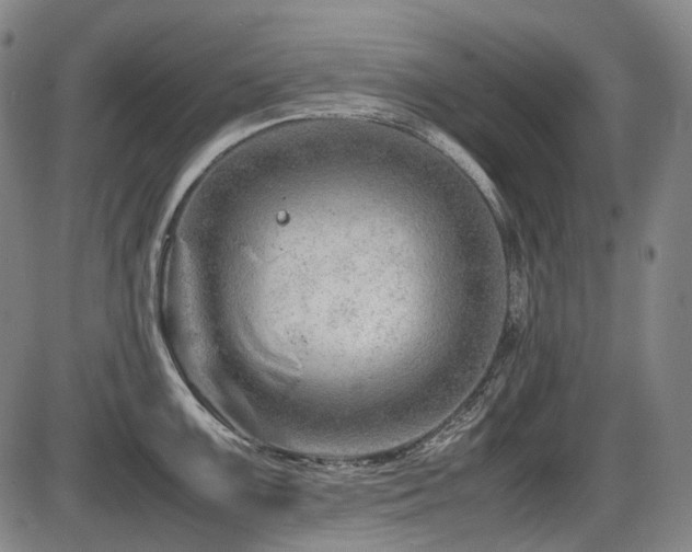 X0000086291099200703301129