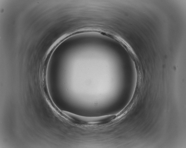X0000086291101200703301129