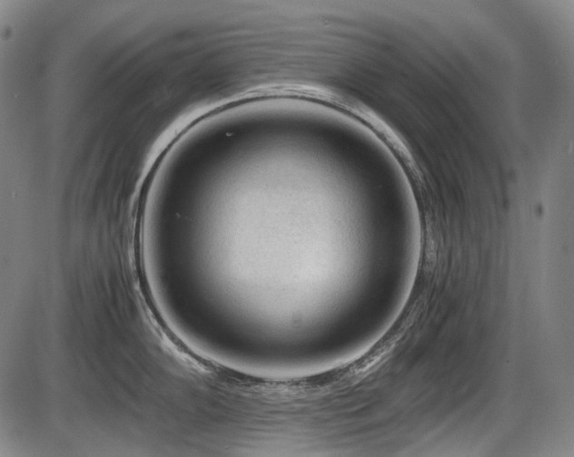 X0000086291102200703301129