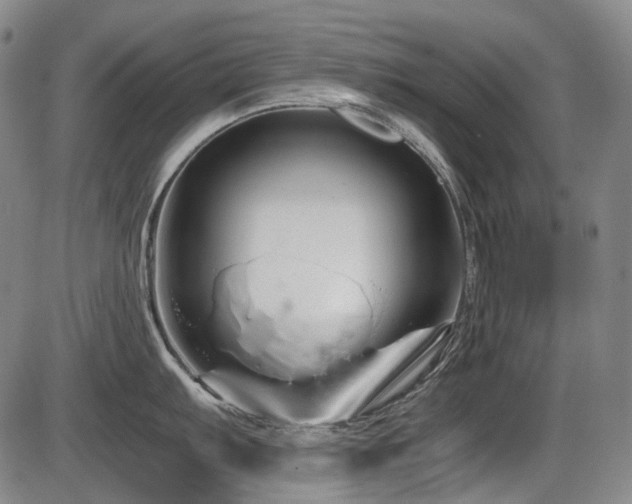 X0000086291103200703301129
