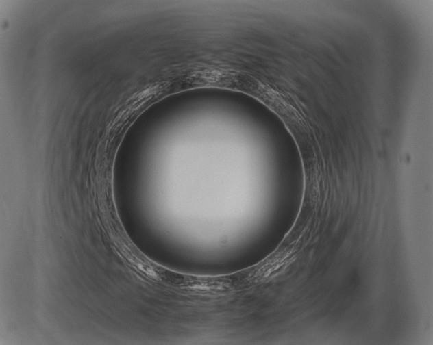 X0000086291105200703301128