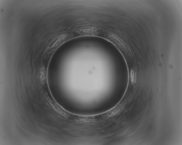 X0000086291107200703301128