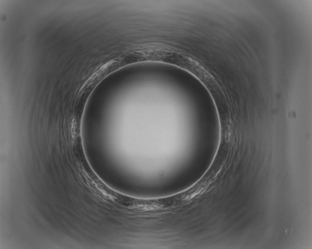 X0000086291108200703301128