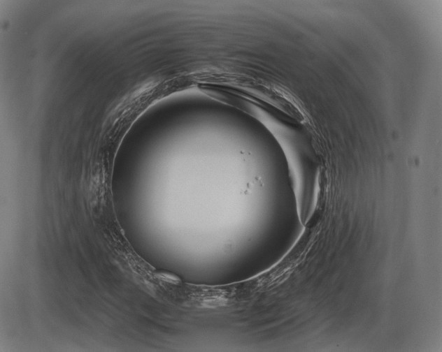 X0000086291111200703301129
