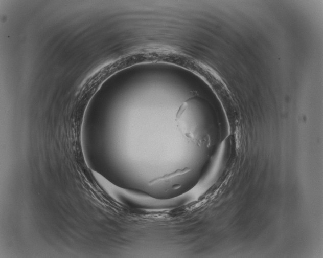 X0000086291112200703301129