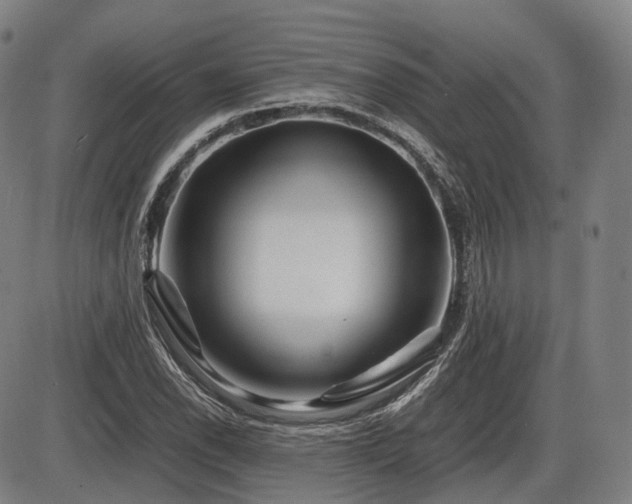 X0000086291118200703301129