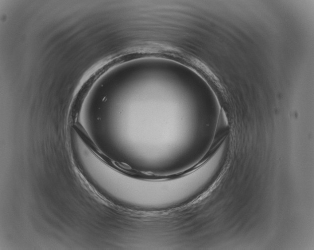 X0000086291122200703301129