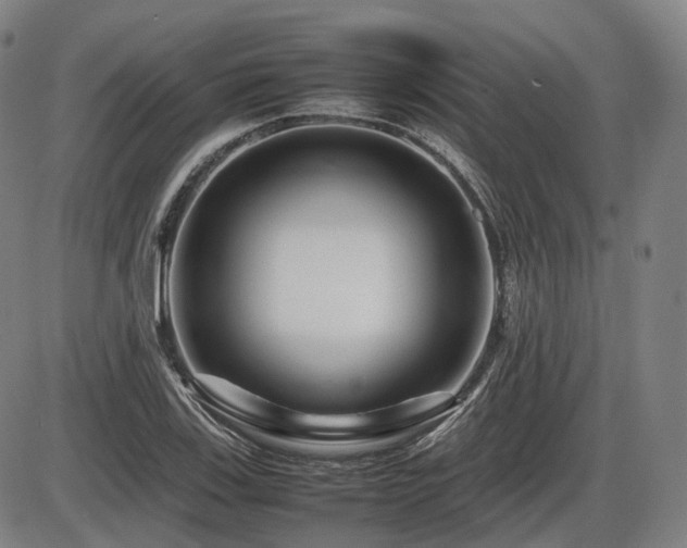 X0000086291123200703301129