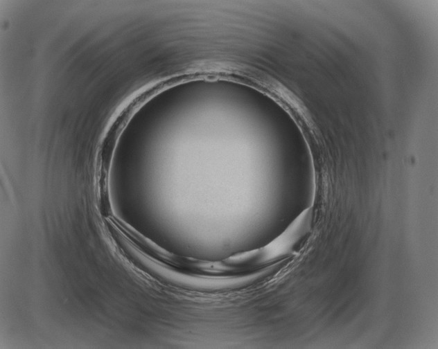 X0000086291124200703301129
