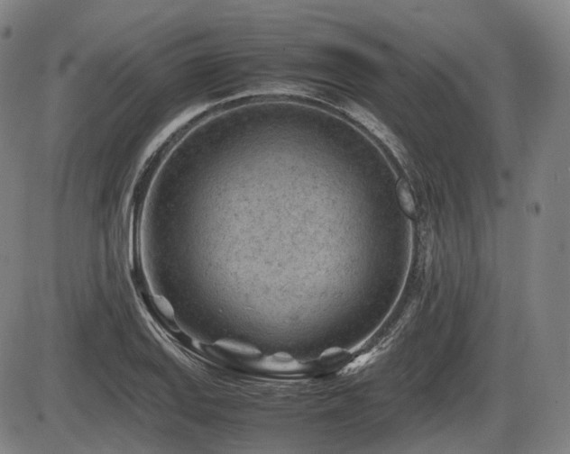 X0000086291127200703301129