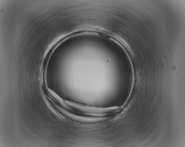 X0000086291128200703301129