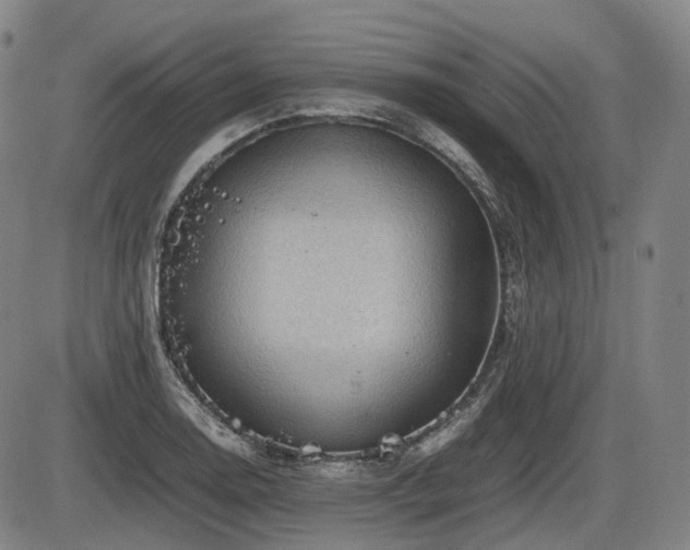 X0000086291130200703301129