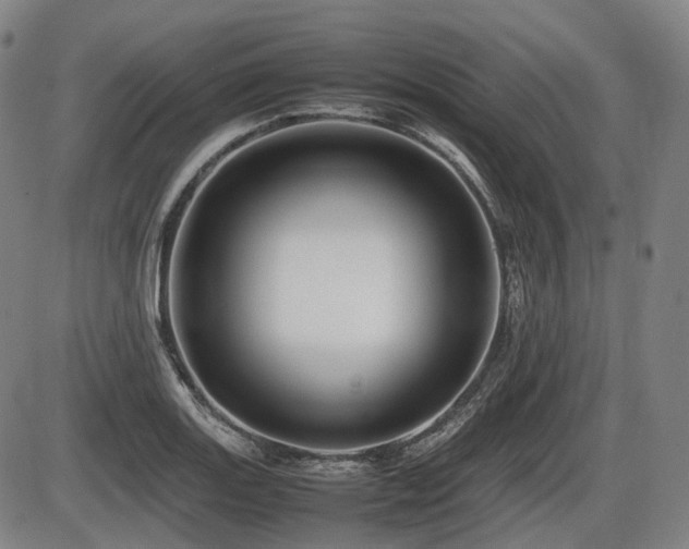 X0000086291131200703301129