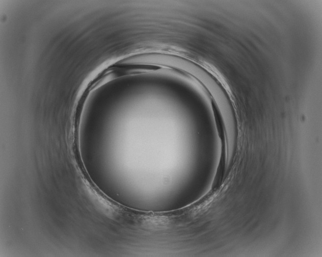 X0000086291136200703301129