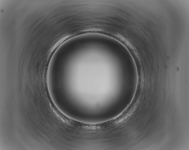 X0000086291137200703301129