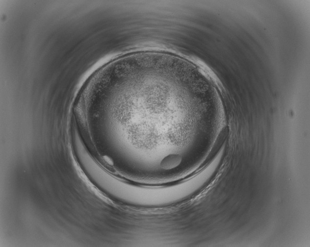 X0000086291142200703301129