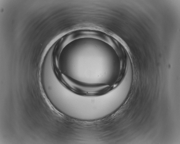 X0000086291144200703301129