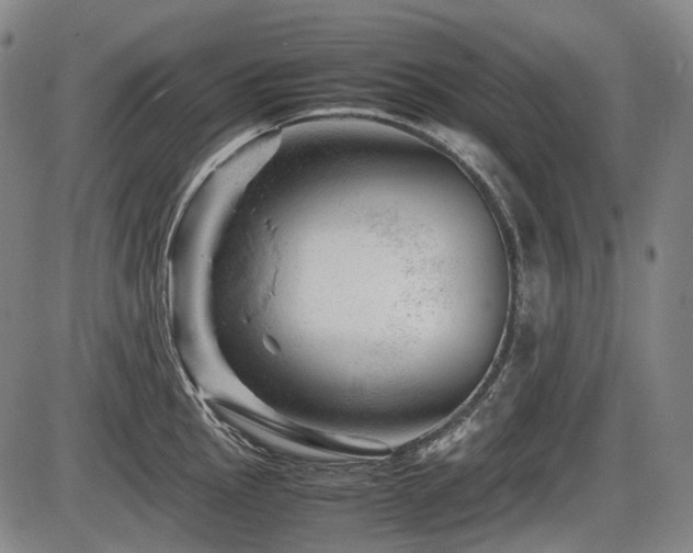 X0000086291145200703301129
