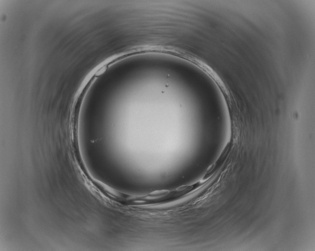 X0000086291148200703301129