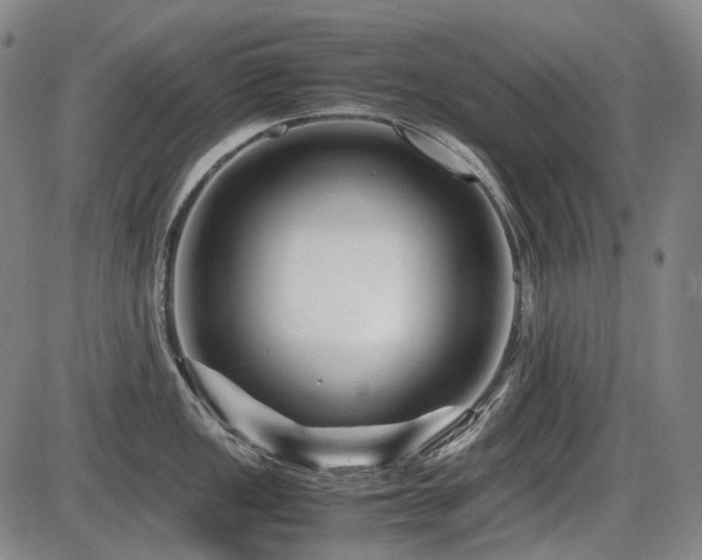 X0000086291149200703301129