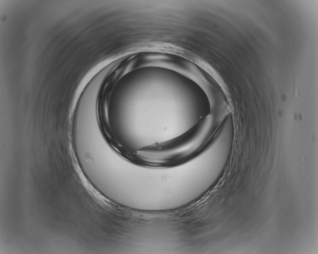X0000086291152200703301129