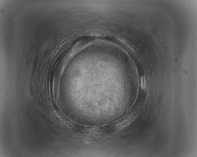 X0000086291155200703301128