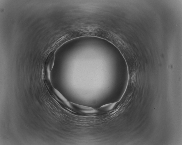 X0000086291156200703301128