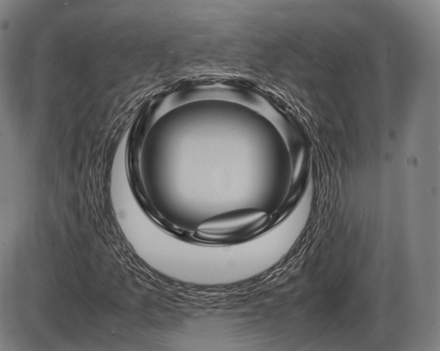 X0000086291157200703301128