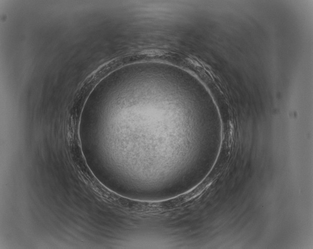 X0000086291158200703301128