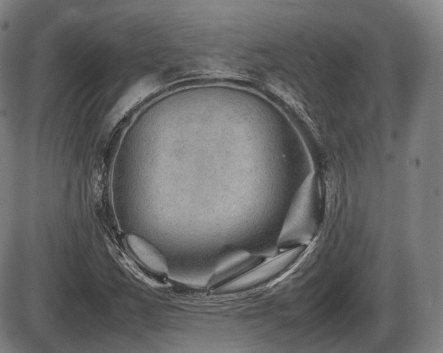 X0000086291163200703301128