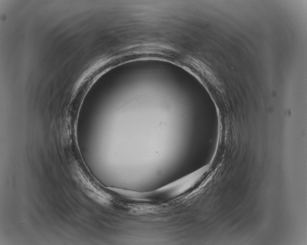 X0000086291164200703301128