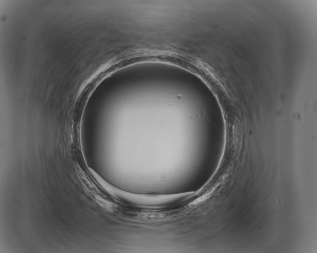 X0000086291165200703301128