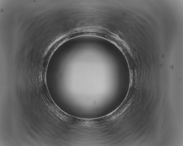 X0000086291166200703301128