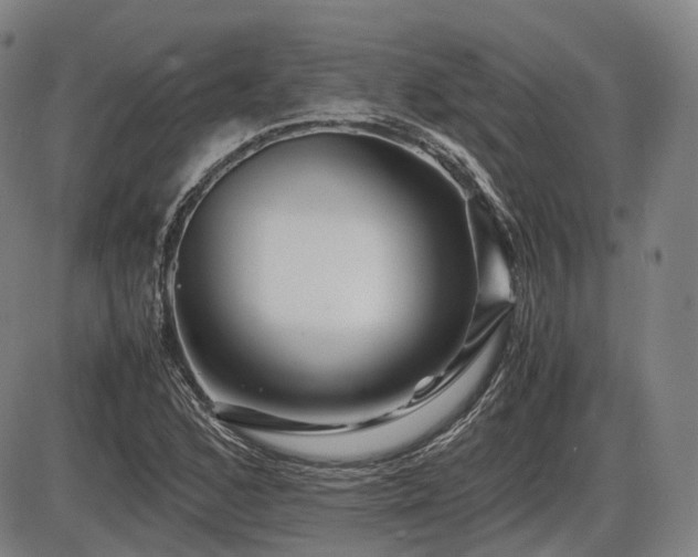 X0000086291168200703301128