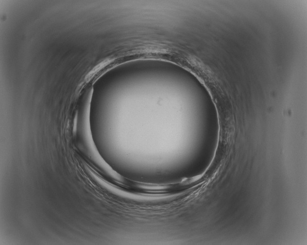 X0000086291169200703301128