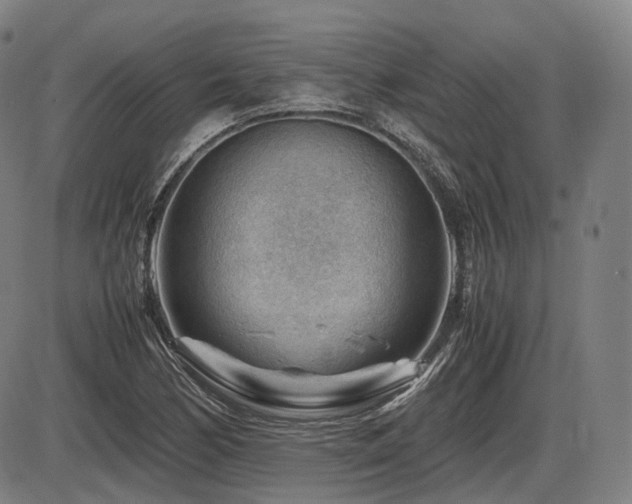 X0000086291170200703301128