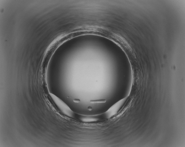 X0000086291172200703301128