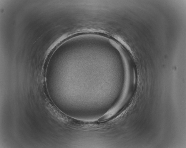X0000086291173200703301128