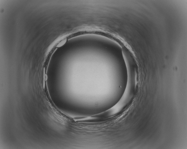 X0000086291175200703301128