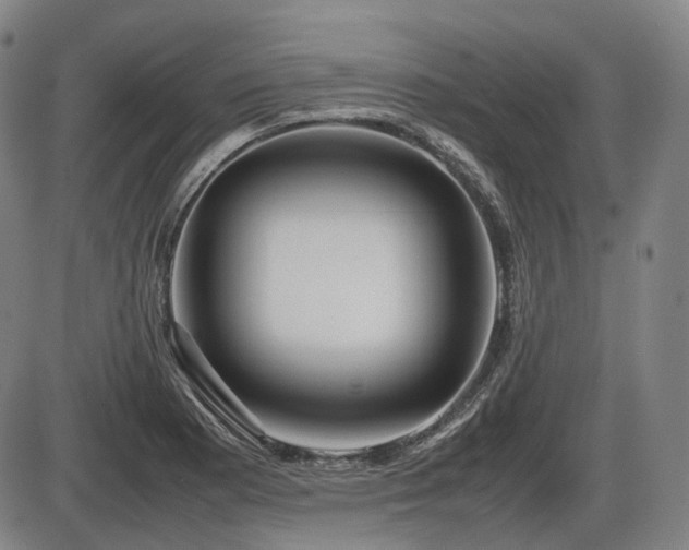 X0000086291177200703301128